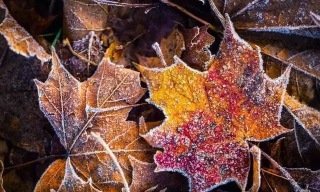 祥乾资产 存款利率再下调: 谁的“甘露”, 谁的“秋霜”?