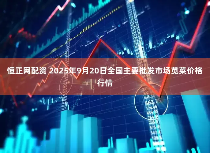 恒正网配资 2025年9月20日全国主要批发市场苋菜价格行情