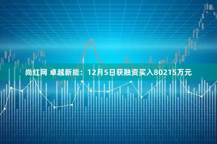 尚红网 卓越新能：12月5日获融资买入80215万元